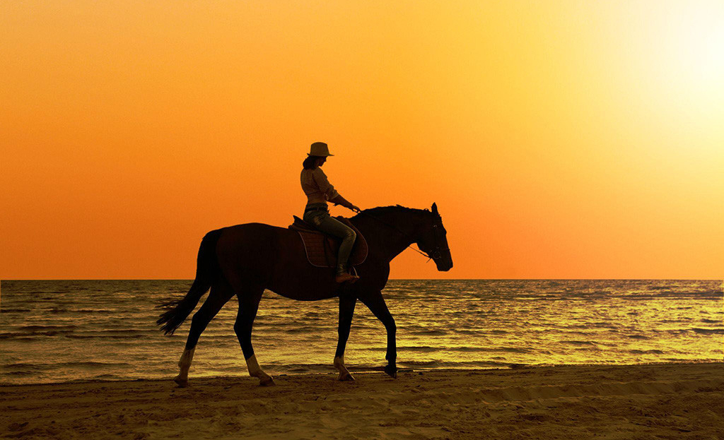 <h2>Best Activities & Tours in Naoussa</h2>